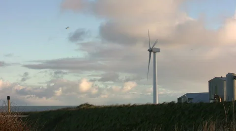 Wind turbine on the coast Video stock 628832