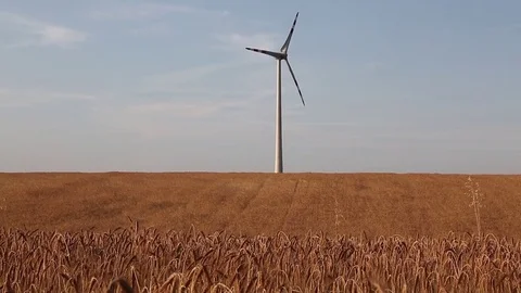 Wind turbine in a corn field, Austria Stock-Footage 71085916