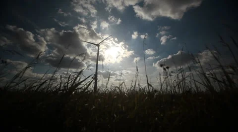Wind turbine in the delta Stock Footage 8691024