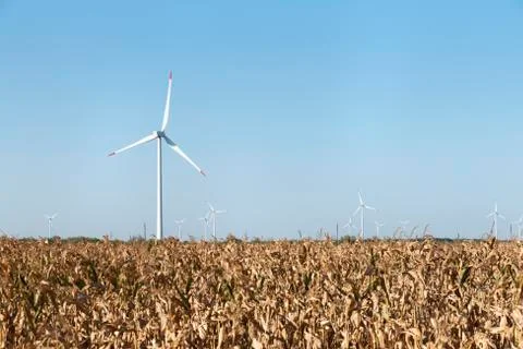Wind Turbine Field Axis Stock Photos