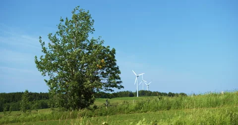 Wind turbine in the field with a three Видео 130917553