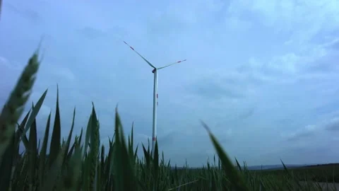 Wind turbine on a field with wheat Stock Footage 155544832