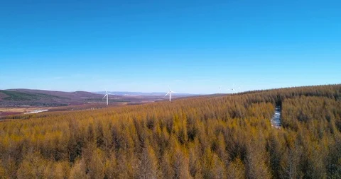 Wind Turbine in Forest Stock-Footage 118909592