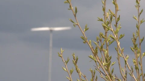 Wind turbine generator and spring tree branches. Static focus change shot Stock Footage 109507973