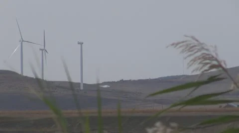 Wind Turbine  Green power generation Vidéo 11521501