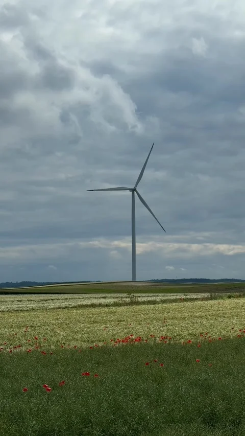 Wind Turbine Landscape Stock Footage 310655462