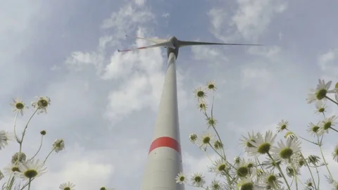 Wind turbine in motion camera move from bottom to top Stock Footage 77538299