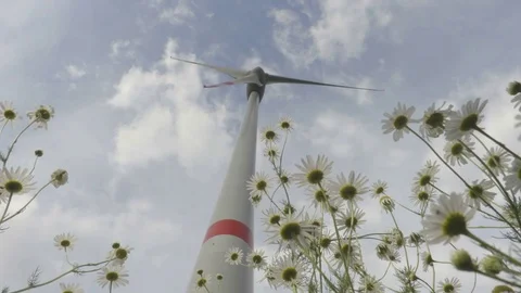Wind turbine in motion view view from below Stock Footage 77610014