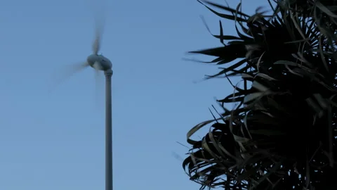 Wind turbine next to bush Stock Footage 337251424