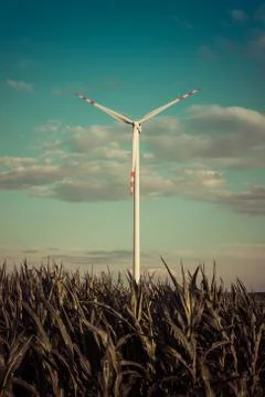 Wind turbine over cornfield Foto stock