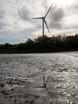 Wind Turbine Over Reflective Mudflat at Low Tide Stock Photos