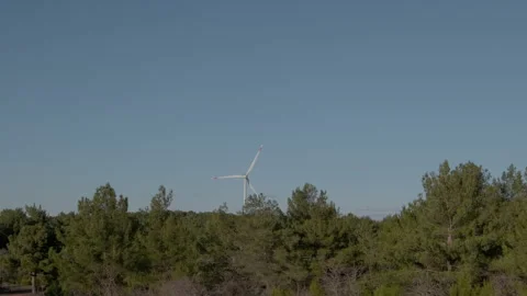 Wind Turbine Overlooking a Pine Forest Stock Footage 282926758