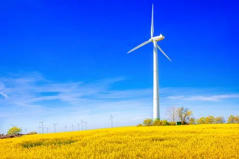 Wind turbine 스톡 사진