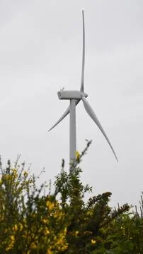 Wind turbine Foto stock