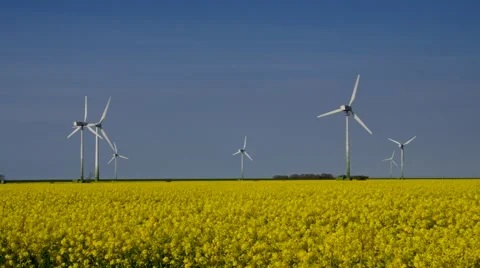 Wind turbine rape field Stock Footage 65299903