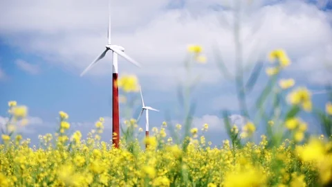 Wind turbine in rapeseed field Video stock 111855832