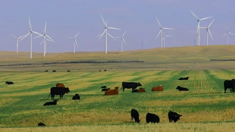 Wind Turbine Renewable Energy Alberta Video stock 166328674