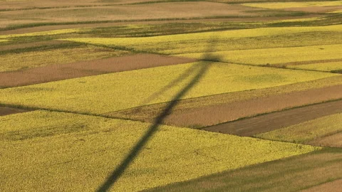 Wind turbine shadow on field Video stock 210703340