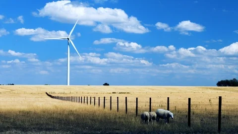 Wind turbine with sheep in the foreground Stock Footage 93299034