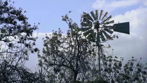 Wind turbine spinning with trees Stock Footage 152216959