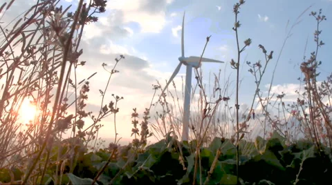 Wind turbine in sunset Stock Footage 65401688
