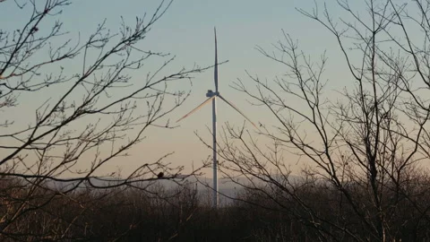 Wind Turbine Through Bare Branches Stock Footage 282926342