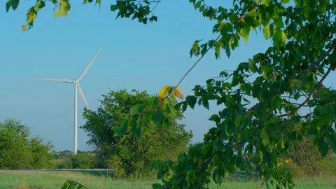 Wind Turbine Through the Leaves in Foreground Stock Footage 80834073