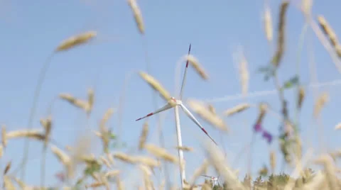 Wind turbine wheat field Stock Footage 25389797