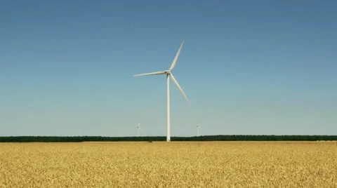 Wind turbine in a wheat field Video stock 51992703