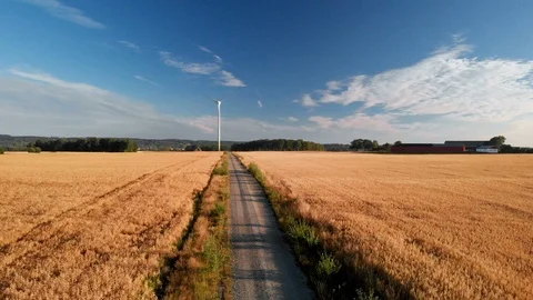 Wind turbine on wheat field. Stockbeeldmateriaal 93036075