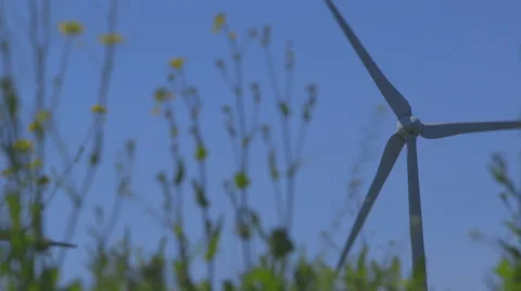 Wind turbine, windmill with flowers on foreground Stock Footage 51507945