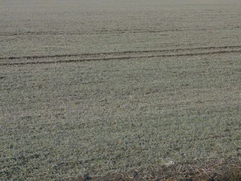 Wind Turbine in winter Stock Footage 72900715