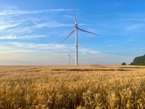 Wind turbines against the backdrop of sunset over a wheat field Stock Photos