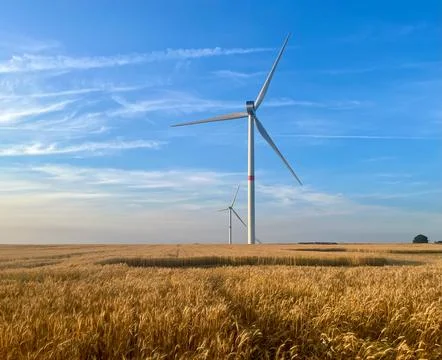 Wind turbines against the backdrop of sunset over a wheat field Stock Photos