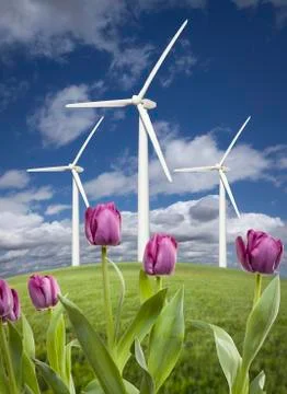 Wind Turbines Against Dramatic Sky, Clouds and Violets in the Foreground.. Stock Photos