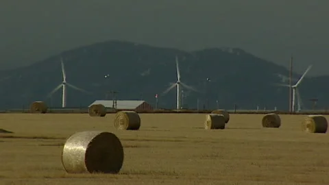 Wind Turbines in Alberta, Canada Stock Footage 173329692