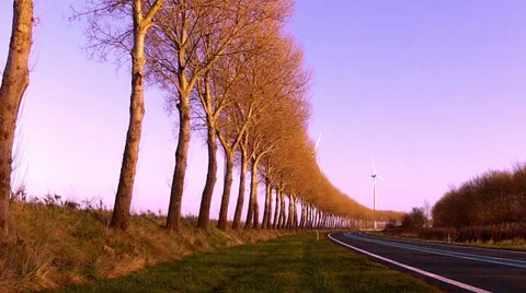 Wind turbines along the road. Stock Footage 35143852