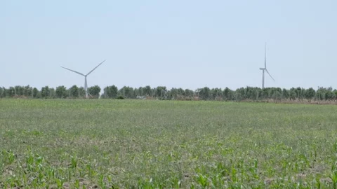 Wind Turbines Amidst a Green Field Stock Footage 282930016