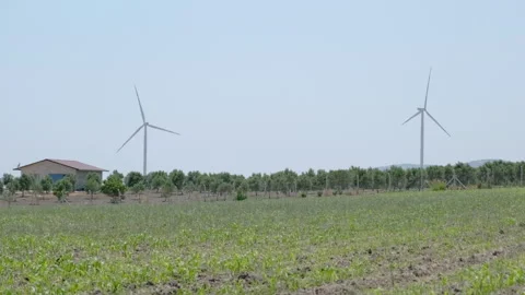 Wind Turbines Amidst a Green Field Stock Footage 282930124