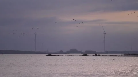 Wind Turbines and Birds Over a Dutch River at Dusk Under Cloudy Skies Stock Footage 334891920