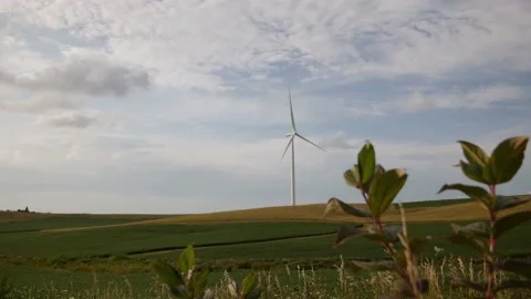 WInd Turbines and Farm Fields of Iowa in Focus 4k 24fps Stock Footage 137259346