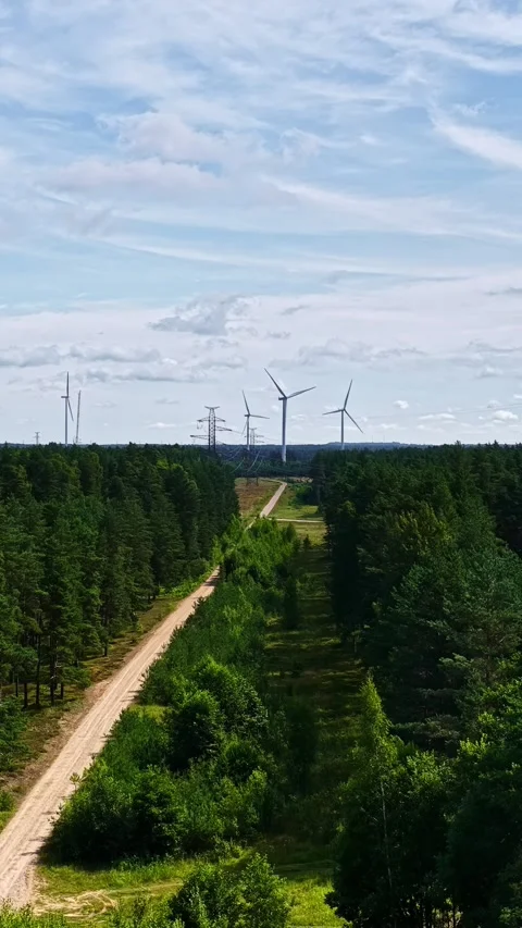 Wind turbines and power lines in forest landscape Stock Footage 342978508