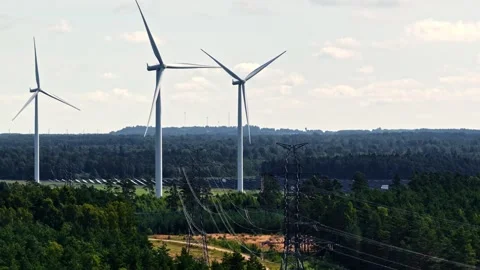 Wind Turbines and Power Lines Above Dense Green Forest and Rural Land Stock Footage 344424098