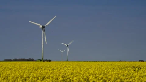 Wind turbines and rape field Stock Footage 57319295