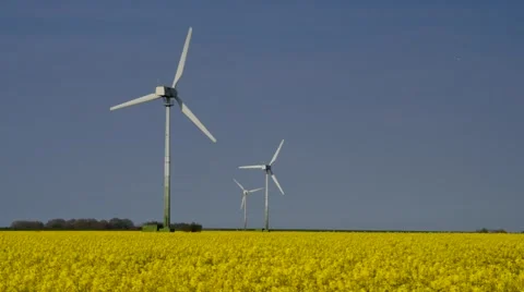 Wind turbines and rape field Stock Footage 58326009