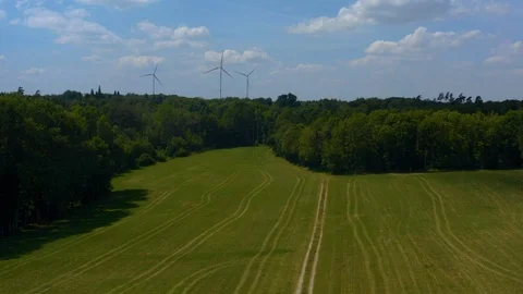 Wind turbines and trees Stock Footage 125912262
