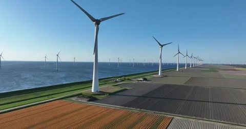 Wind turbines and tulips fields, renewable energy. Green electricity 스톡 동영상 306521006