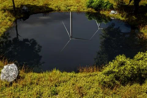 Wind turbines are reflected in a small pond surrounded by grass and trees -.. Stock Illustration