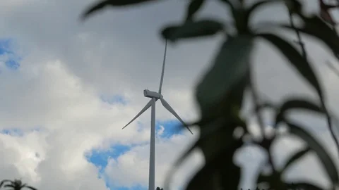 Wind turbines are working Stock Footage 85443995