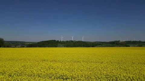 Wind turbines behind blooming rapeseed field in Poland Video stock 335461554